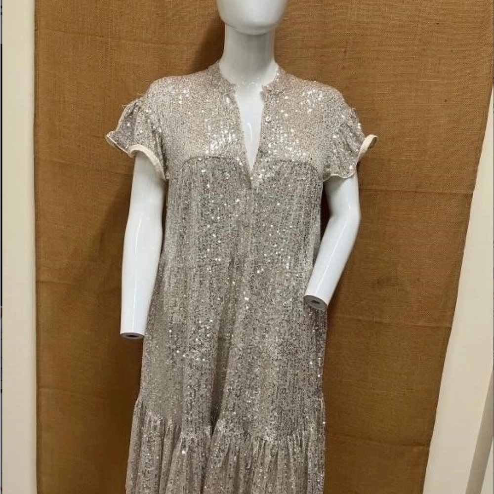 Elegant Silver Sequin Dress